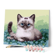Charger l'image dans la galerie, peinture par numéros | Petit Chaton dans les Fleurs | animaux, chats, facile | FiguredArt