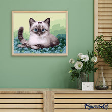 Charger l'image dans la galerie, peinture par numéros | Petit Chaton dans les Fleurs | animaux, chats, facile | FiguredArt
