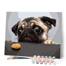 Charger l'image dans la galerie, peinture par numéros | Chien Carlin Gourmand | animaux, chiens, france, intermédiaire | FiguredArt