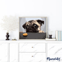 Charger l'image dans la galerie, peinture par numéros | Chien Carlin Gourmand | animaux, chiens, france, intermédiaire | FiguredArt
