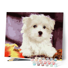Charger l'image dans la galerie, peinture par numéros | Petit Chien blanc | animaux, chiens, facile | FiguredArt