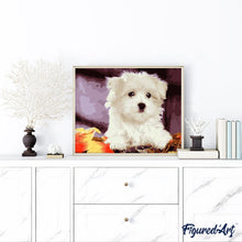 Charger l'image dans la galerie, peinture par numéros | Petit Chien blanc | animaux, chiens, facile | FiguredArt