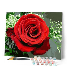 Charger l'image dans la galerie, peinture par numéros | Rose rouge | facile, fleurs | FiguredArt