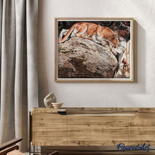 Charger l'image dans la galerie, peinture par numéros | Lynx | animaux, complexe | FiguredArt