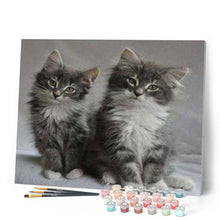 Charger l'image dans la galerie, peinture par numéros | Chatons | animaux, chats, complexe | FiguredArt