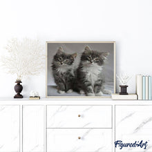 Charger l'image dans la galerie, peinture par numéros | Chatons | animaux, chats, complexe | FiguredArt