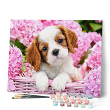 Charger l'image dans la galerie, peinture par numéros | Chien dans son Panier fleuri | animaux, intermédiaire | FiguredArt