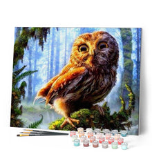 Charger l'image dans la galerie, peinture par numéros | Chouette perchée sur une Branche | animaux, arbres, chouettes et hiboux, complexe | FiguredArt