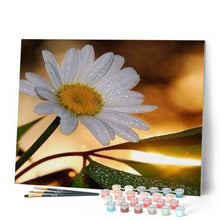 Charger l'image dans la galerie, peinture par numéros | Marguerite | facile, fleurs | FiguredArt