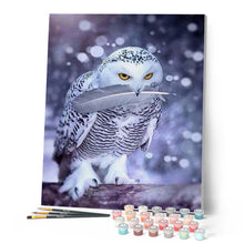 Charger l'image dans la galerie, peinture par numéros | Hibou blanc | animaux, chouettes et hiboux, intermédiaire | FiguredArt