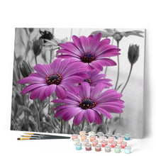 Charger l'image dans la galerie, peinture par numéros | Marguerites roses | fleurs, intermédiaire | FiguredArt
