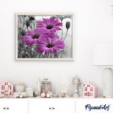Charger l'image dans la galerie, peinture par numéros | Marguerites roses | fleurs, intermédiaire | FiguredArt
