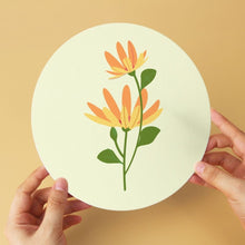 Charger l'image dans la galerie, Mini Série Peinture par Numéros - Disques Ø20cm (6 pièces) - Pétales délicats sur fond pastel