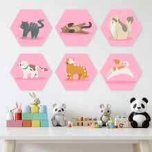 Charger l'image dans la galerie, Mini Série Peinture par Numéros - Hexagones (6 pièces) - Animaux en rose
