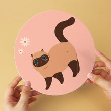 Charger l'image dans la galerie, Mini Série Peinture par Numéros - Disques Ø20cm (6 pièces) - Les chats curieux