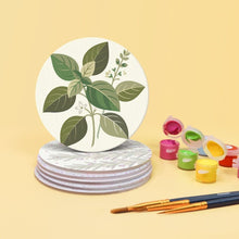 Charger l'image dans la galerie, Peinture par numéros Dessous de Verre 10cm (6 pièces) - Herbes Aromatiques