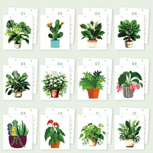 Charger l&#39;image dans la galerie, Calendrier Peinture par Numéros 2026 - Plantes d’intérieur en pot