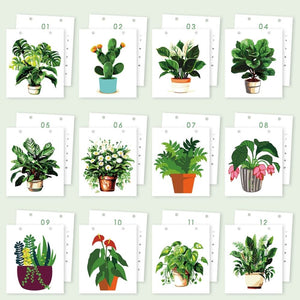 Calendrier Peinture par Numéros 2026 - Plantes d’intérieur en pot