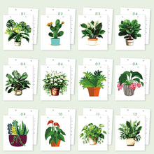 Charger l'image dans la galerie, Calendrier  2027 Peinture par Numéros - Plantes en Pot