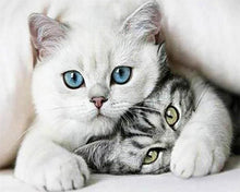 Charger l'image dans la galerie, Broderie Diamant | Broderie Diamant - Amis Chats | animaux Broderie Animaux chats | FiguredArt