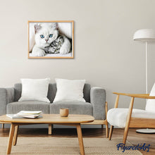 Charger l'image dans la galerie, Broderie Diamant | Broderie Diamant - Amis Chats | animaux Broderie Animaux chats | FiguredArt