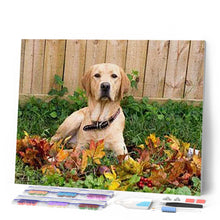 Charger l'image dans la galerie, Broderie Diamant | Broderie Diamant - Labrador | animaux Broderie Animaux | FiguredArt