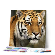 Charger l'image dans la galerie, Broderie Diamant | Broderie Diamant - Tigre | animaux Broderie Animaux tigres | FiguredArt