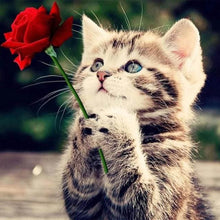 Charger l'image dans la galerie, Broderie Diamant | Broderie Diamant - Chat à la Rose | animaux Broderie Animaux Broderie Fleurs chats fleurs | FiguredArt