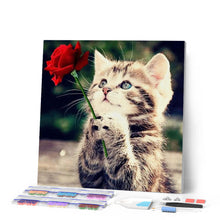 Charger l'image dans la galerie, Broderie Diamant | Broderie Diamant - Chat à la Rose | animaux Broderie Animaux Broderie Fleurs chats fleurs | FiguredArt