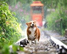 Charger l'image dans la galerie, Broderie Diamant Chien sur les rails animaux chiens | FiguredArt