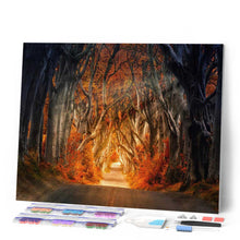 Charger l'image dans la galerie, Broderie Diamant - Route de forêt