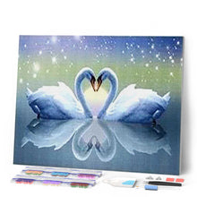 Charger l'image dans la galerie, Broderie Diamant | Broderie Diamant - Cygnes et Coeur | animaux Broderie Animaux Broderie Romantique cignes oiseaux | FiguredArt