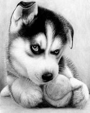 Charger l'image dans la galerie, Broderie Diamant | Broderie Diamant - Petit Husky Joueur | animaux Broderie Animaux | FiguredArt