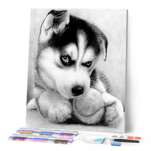 Charger l'image dans la galerie, Broderie Diamant | Broderie Diamant - Petit Husky Joueur | animaux Broderie Animaux | FiguredArt