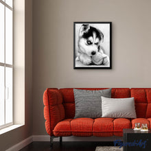 Charger l'image dans la galerie, Broderie Diamant | Broderie Diamant - Petit Husky Joueur | animaux Broderie Animaux | FiguredArt