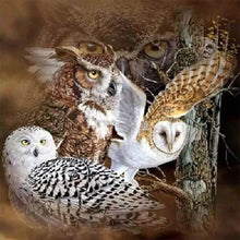 Charger l'image dans la galerie, Broderie Diamant | Broderie Diamant - Chouettes et Hiboux | animaux Broderie Animaux chouettes et hiboux | FiguredArt