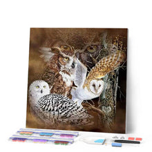 Charger l'image dans la galerie, Broderie Diamant | Broderie Diamant - Chouettes et Hiboux | animaux Broderie Animaux chouettes et hiboux | FiguredArt