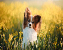 Charger l'image dans la galerie, Broderie Diamant Petit Chien dans un champ animaux chiens | FiguredArt
