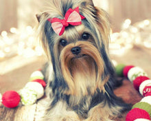 Charger l'image dans la galerie, Broderie Diamant Chienne mignonne animaux chiens | FiguredArt
