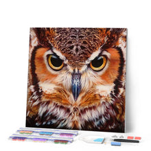 Charger l'image dans la galerie, Broderie Diamant | Broderie Diamant - Portrait de Hiboux | animaux Broderie Animaux chouettes et hiboux | FiguredArt