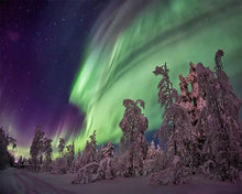Charger l'image dans la galerie, Broderie Diamant | Broderie Diamant - Aurore Boréale et Sapins | Broderie Paysages paysages | FiguredArt