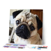 Charger l'image dans la galerie, Broderie Diamant | Broderie Diamant - Carlin Mignon | animaux Broderie Animaux | FiguredArt