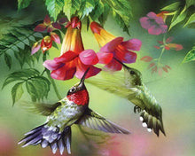 Charger l'image dans la galerie, Broderie Diamant - Colibris et leurs fleurs