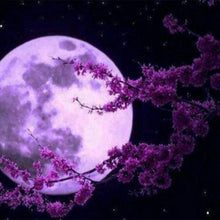 Charger l'image dans la galerie, Broderie Diamant | Broderie Diamant - Pleine Lune et Fleurs | Broderie Paysages fleurs paysages | FiguredArt