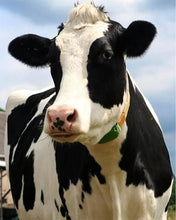 Charger l'image dans la galerie, Broderie Diamant | Broderie Diamant - Belle Vache | animaux Broderie Animaux vaches | FiguredArt