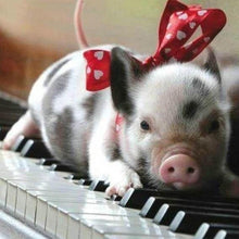 Charger l'image dans la galerie, Broderie Diamant | Broderie Diamant - Cochon et Piano | animaux Broderie Animaux | FiguredArt