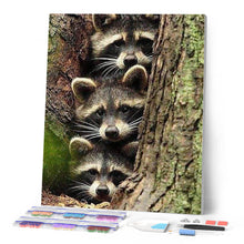 Charger l'image dans la galerie, Broderie Diamant | Broderie Diamant - Ratons Laveurs | animaux Broderie Animaux ratons laveurs | FiguredArt