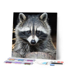 Charger l'image dans la galerie, Broderie Diamant | Broderie Diamant - Joli Raton Laveur | animaux Broderie Animaux ratons laveurs | FiguredArt
