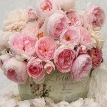 Charger l'image dans la galerie, Broderie Diamant | Broderie Diamant - La vie en Rose | Broderie Fleurs fleurs | FiguredArt