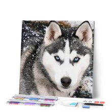 Charger l'image dans la galerie, Broderie Diamant | Broderie Diamant - Loup de Face | animaux Broderie Animaux lapins loups | FiguredArt